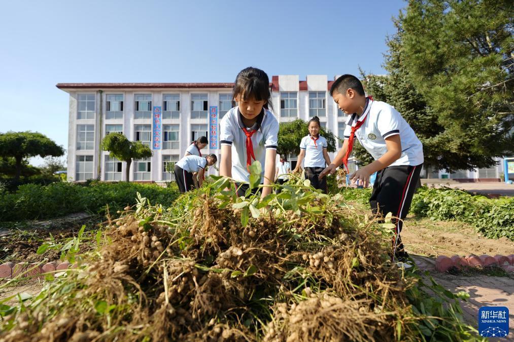 澳门塞班岛sbd游戏网站